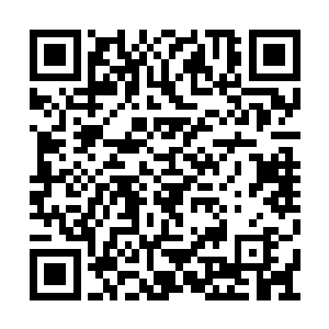 一跃而升成为各人类星球总署大佬们追捧的对象二维码生成