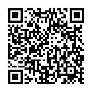 一路上话里话外都是让苗毅以后有什么生意尽管来找她二维码生成