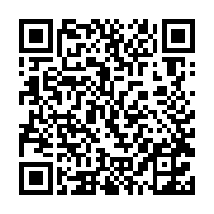 一路上路边的男女老幼纷纷将手中的食品献给淮北军二维码生成