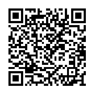 一路搀扶着林辰来到了客厅中央的一处沙发之上二维码生成