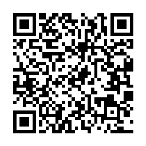 一路顺着运河南下再没有遇到什么稀奇古怪的事情二维码生成