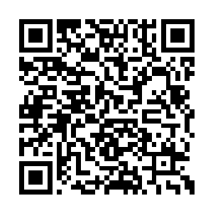 一路颠簸也遮掩不住朱家人脸上满满的自信笑容二维码生成
