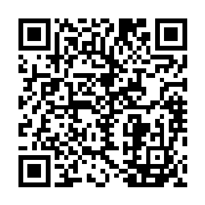 一身便衣青衫的青主神情愉悦地从东宫寝居殿内走了出来二维码生成