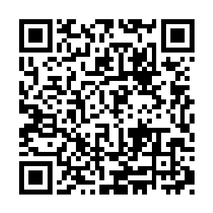 一身白色羽绒衣的李菁菁人比花娇地走进了屋里二维码生成