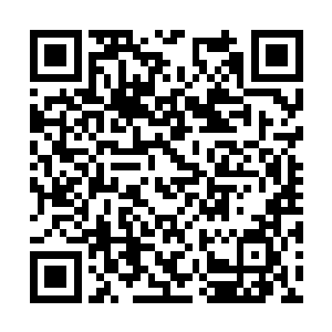 一身血液正透过那一口血色长剑不断的流向持剑者二维码生成