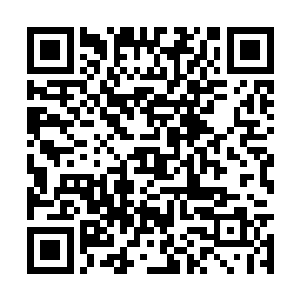 一转身便发现……身后还有整整一走廊这样的怪物二维码生成