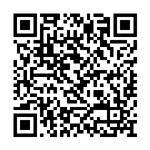 一轮一轮疯狂地扑向东北面丘陵上的秦绍谦部队二维码生成