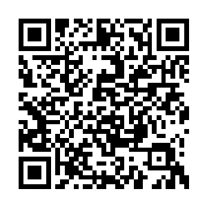 一辆红色的桑塔拉开进了榆树湾的窄小的巷子里二维码生成