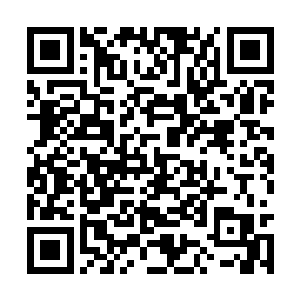 一辆黑色的劳斯莱斯正朝枇杷山公馆门口驶了过来二维码生成