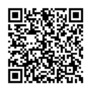 一边则是慢悠悠的将那张欠单先一步拿在了手上二维码生成