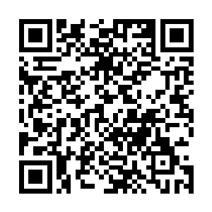 一边利用神念在奇书天地中翻阅刚刚从龙族那里拓印的古书二维码生成
