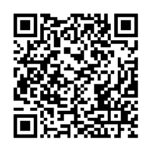 一边却又贪婪的看着地上那颗从病态青年身上掉落的土黄色珠子二维码生成