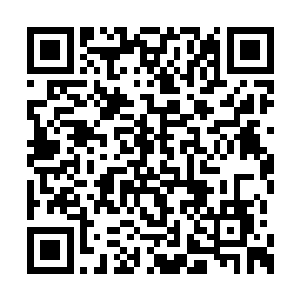 一边各种五光十色的禁器就出现在了楚枫的身前二维码生成