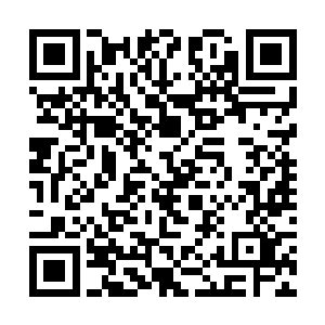 一边吸着凉气一边一只手捂着头一只手指着我轻吼道二维码生成