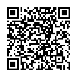 一边哼着诗经小调亲自动手炒了几盘朱平安喜欢的菜肴二维码生成