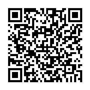 一边完好的那只手不老实的在流年的身上摸来摸去二维码生成