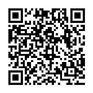 一边心不在焉的想着把自己锁在家里不知道搞什么事情的白兰二维码生成
