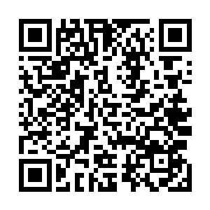 一边治着一边看看刘家和老八到底要鼓捣出来什么幺蛾子二维码生成