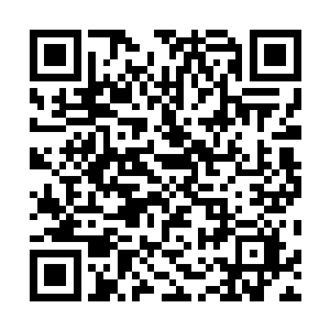 一边用手指着地上惨叫连连的蛮荒遗族巨人自顾自的说道二维码生成