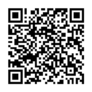 一边用神念在光幕上勾勒七海大市场内区的全息结构图二维码生成