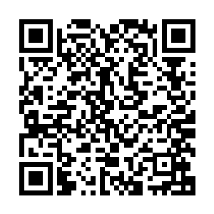 一边疼的龇牙咧嘴的流墨墨只看向明显比自己惨多了的琴瑟色二维码生成