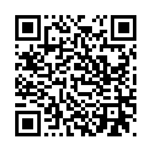 一边的马门溪龙看到了吞了一下口水二维码生成