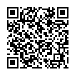 一边看着叶妩在帐篷里捂着胸口咬牙切齿的小模样二维码生成