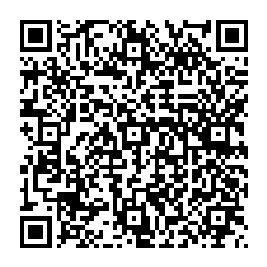 一边看着穿着泳装的白素仙像一条美人鱼一样在飞舟顶部那个一百多平米的泳池之中欢快的游动着二维码生成