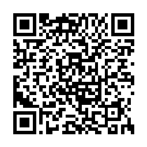 一边给刘老和刘大枪详细介绍煮猪肺的注意事项二维码生成