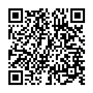 一边装模作样地跟我开着玩笑一边从身上掏出了纸巾二维码生成