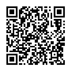 一边讲视线转到了站在何书蔓身后的江迟聿脸上二维码生成