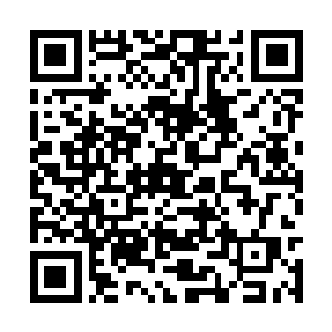 一边说一边从柜子上抓过一支婴儿手臂般的细汹筒二维码生成