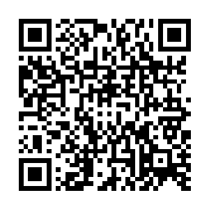 一边说一边哗的一把掀开了她面前被不透明光幕遮住的拍品~二维码生成