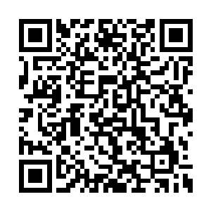 一边说一边还把自己的小手在她眼前晃了一圈儿二维码生成