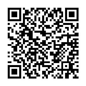 一边追赶一边在考虑等会该如何神不知鬼不觉地出手二维码生成
