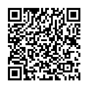 一进入房间就看见除了李涛和疯子之外多了两个人二维码生成