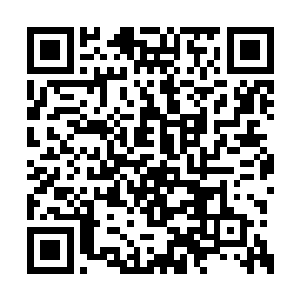 一连上来三个人都不是江帆要找的神龙殿守护者二维码生成