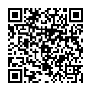 一退再退的慕容宝鼎已经退至那支冬雷精骑的前方二维码生成