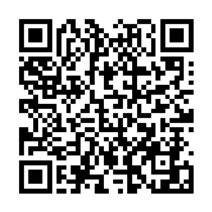 一遍遍反复观看小杰布最后对老虎一道封喉的画面二维码生成