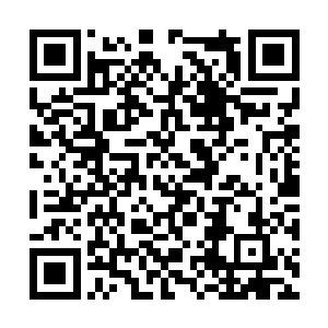 一道人影以闪电般的速度从远处向着神之城内飞来二维码生成