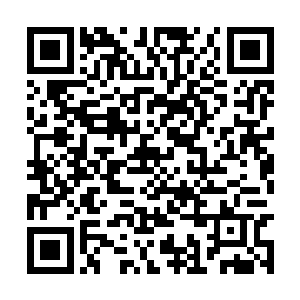 一道人影毫无征兆的便出现在了吴小虎面前不远处二维码生成