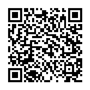 一道巨大的手指虚影直接射向了那个岛国的准影级高手二维码生成