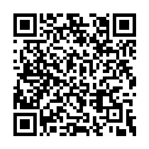 一道巨大的雷云旋风就向洞府中的少年攻击过去二维码生成