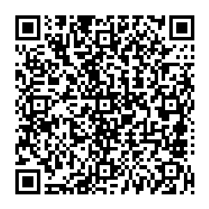 一道幽光扫过整片血海凭空显现出连绵的人影身穿着不同时期的衣服正冷眼看向我身后的鬼脸蝎二维码生成