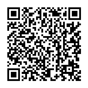 一道恐怖的血色的凌厉的劲气也直接朝着红袍老者的身上笼罩过去二维码生成
