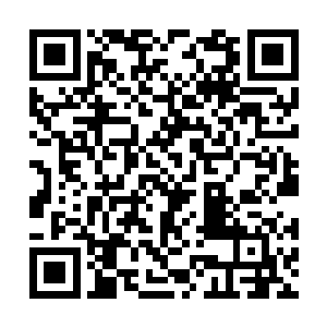 一道惊天动地的白色匹练突然从陈护法的身前划出二维码生成