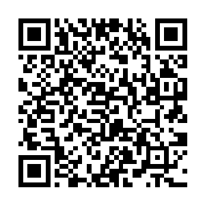 一道更加巨大的虚空裂缝如天堑般的在骨山上空出现二维码生成