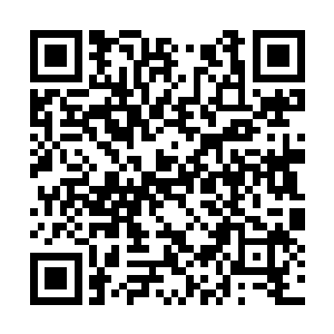 一道波纹状的声波顿时撞上了那些想要探查的神识二维码生成