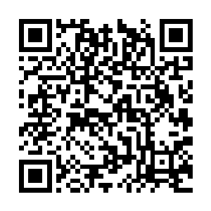 一道洪亮的声音浩浩荡荡的从神音道宗外传了进来二维码生成