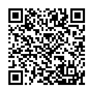 一道璀璨的刀光也直接劈斩在了寅虎和影子之间二维码生成